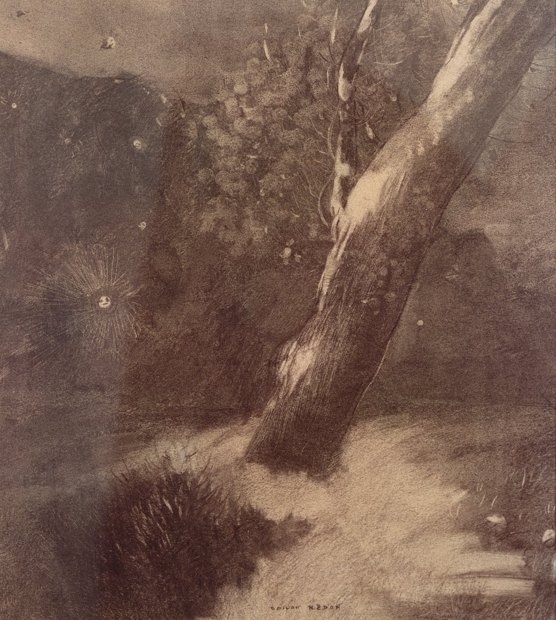 Puu ja tähdet (hiili) tekijältä Odilon Redon