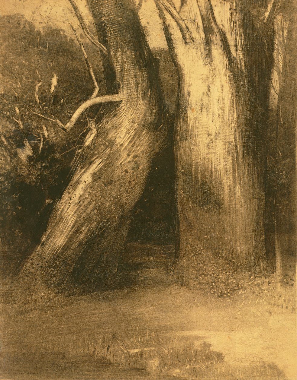 Kaksi puuta, noin 1875 (hiili paperille). tekijältä Odilon Redon