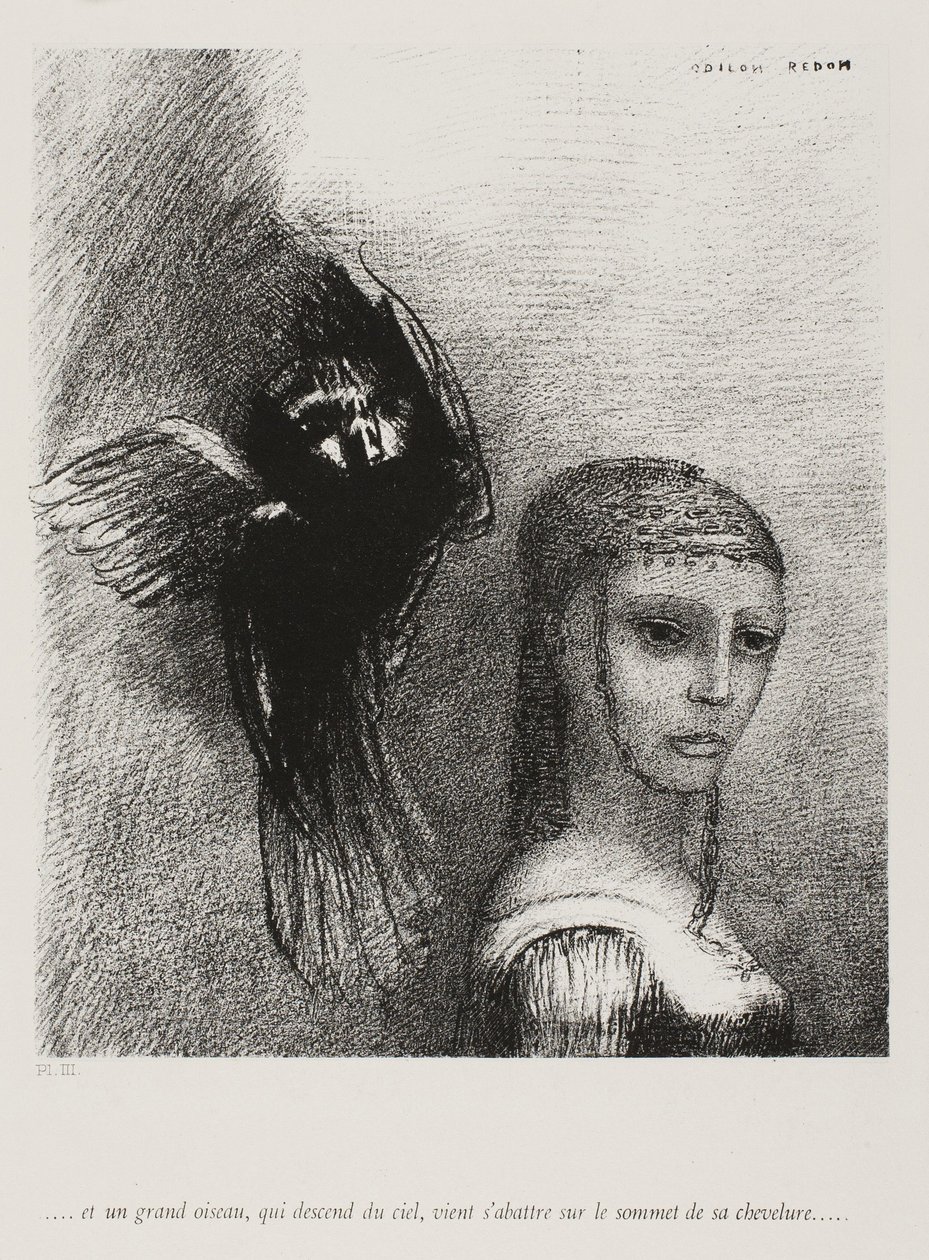 Ja iso lintu, laskeutuu taivaalta, kaatuu hiuksensa ylintä kärkeä vasten, levy 3/10, 1888 tekijältä Odilon Redon
