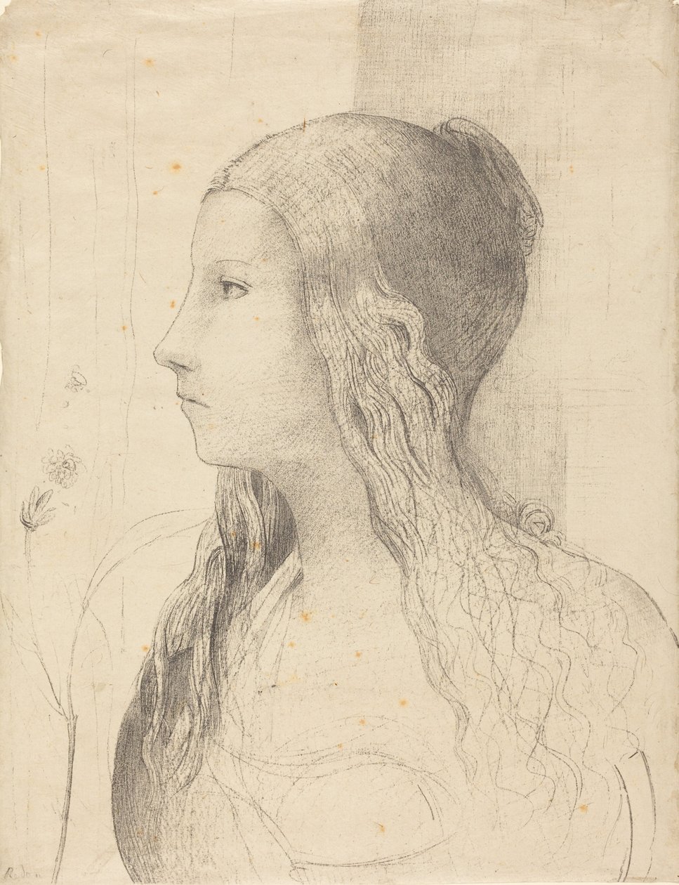 Brünnhilde tekijältä Odilon Redon