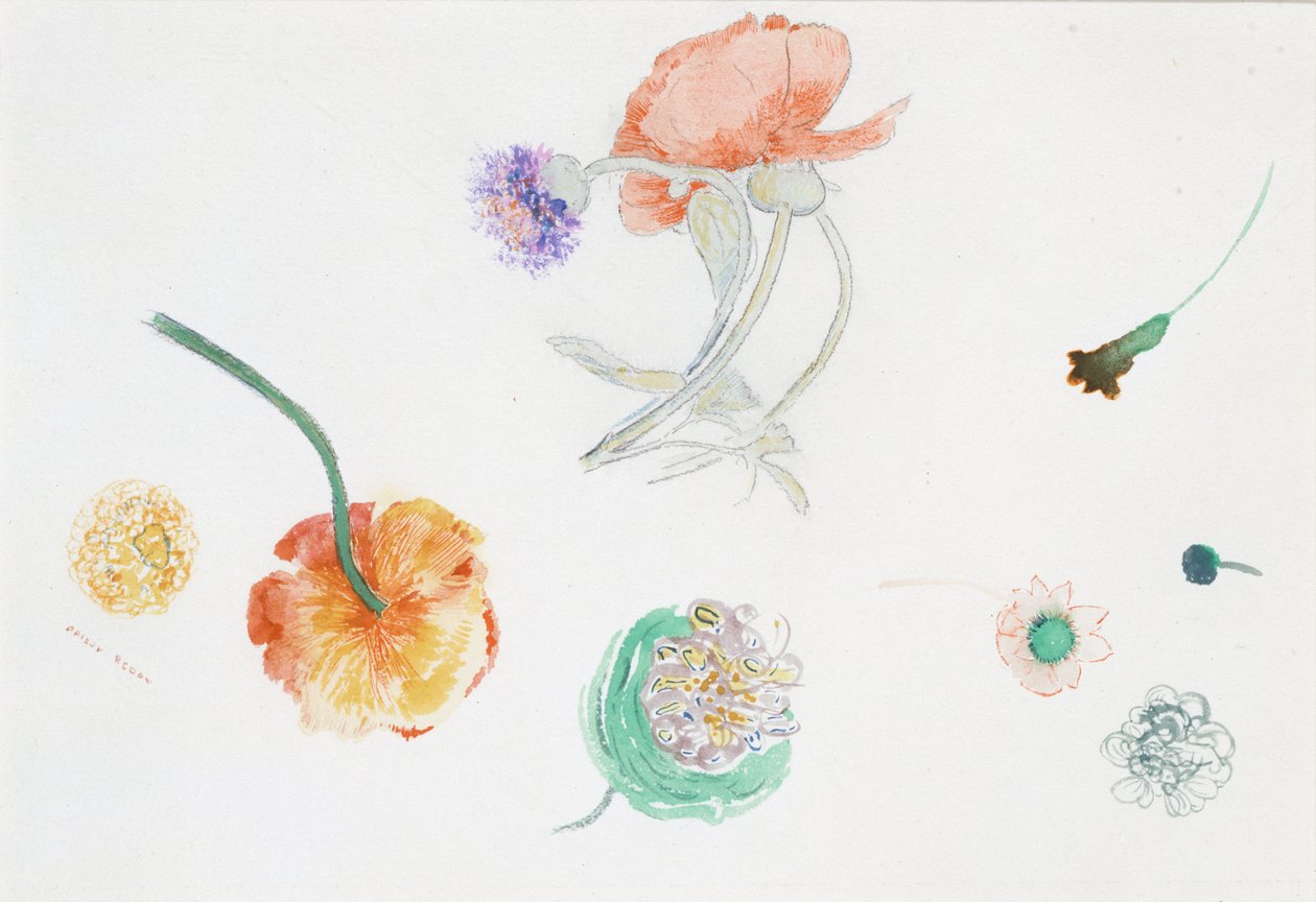 Kukkaluonnos tekijältä Odilon Redon