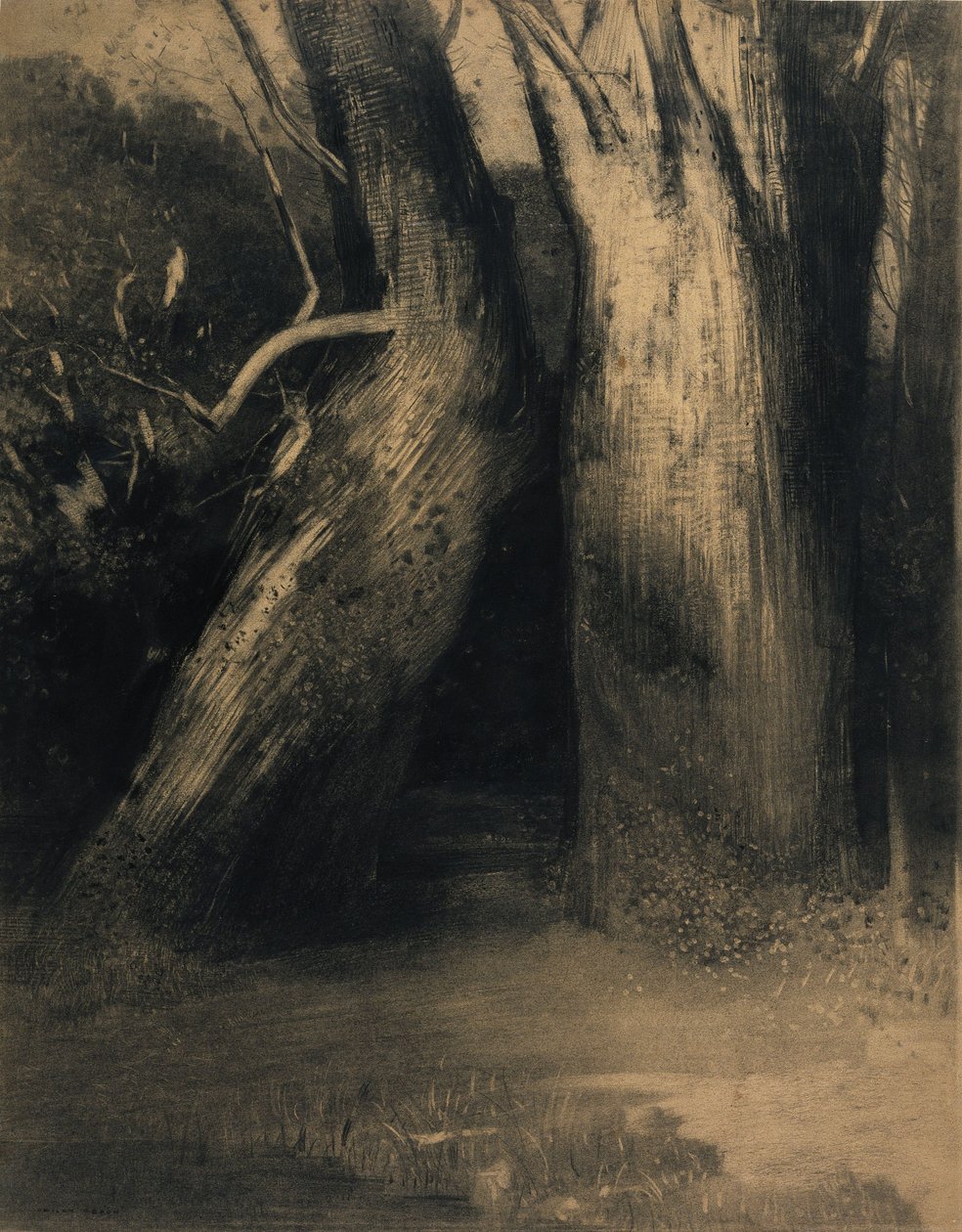 Kaksi puuta tekijältä Odilon Redon