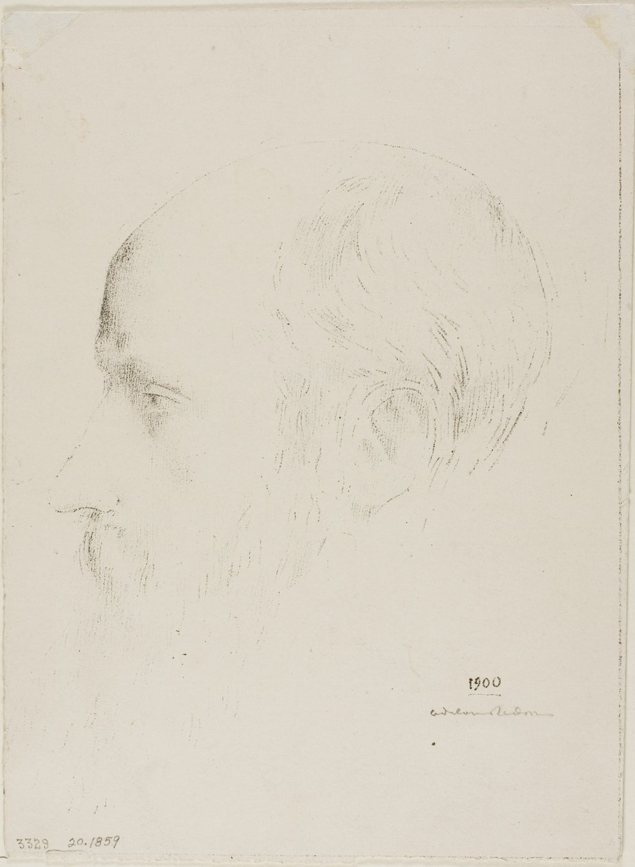 Edouard Vuillard tekijältä Odilon Redon