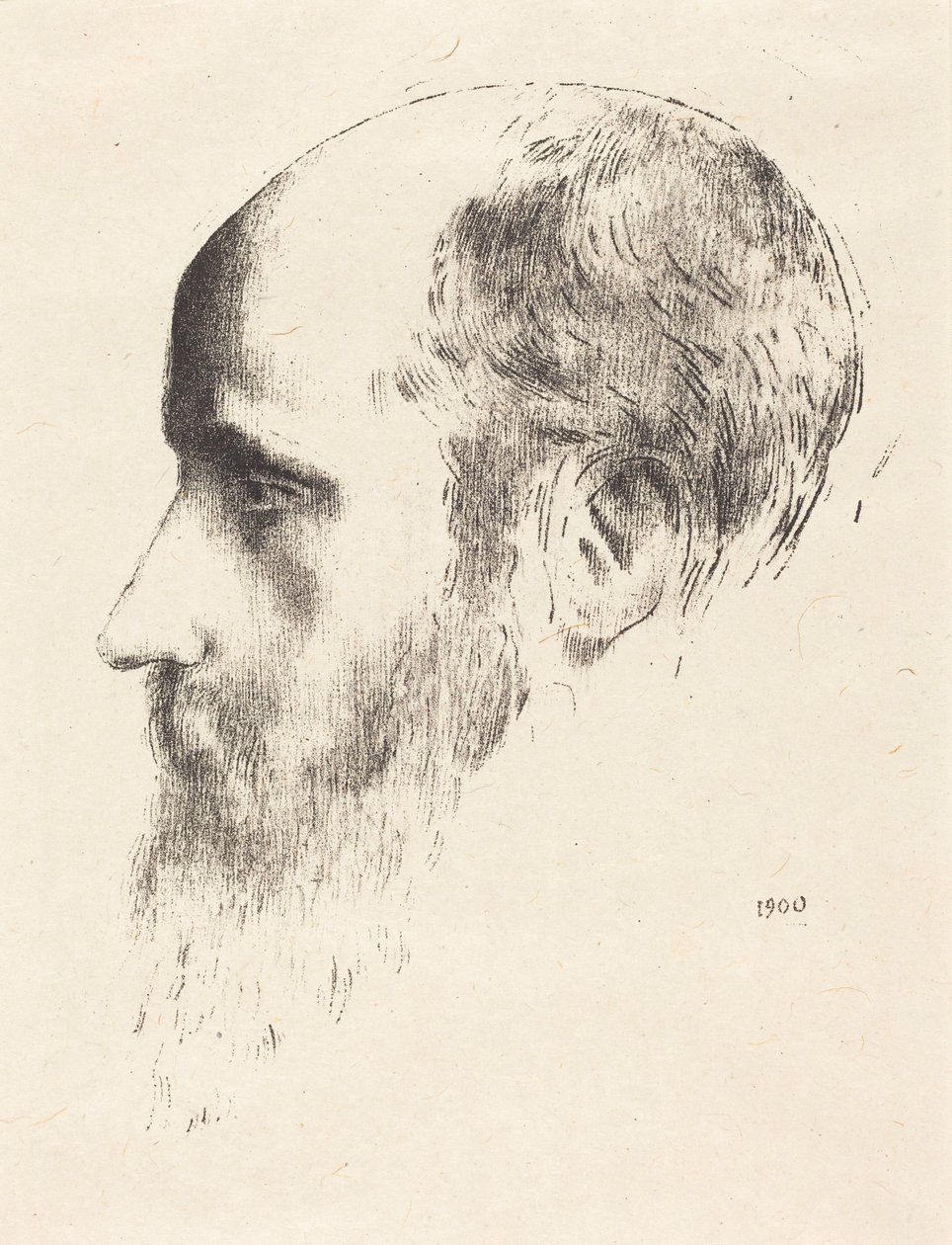 Édouard Vuillard tekijältä Odilon Redon