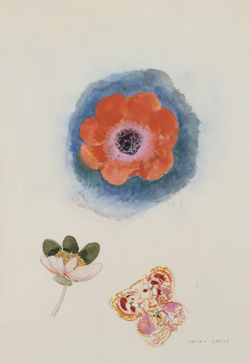 Blumenstudie tekijältä Odilon Redon
