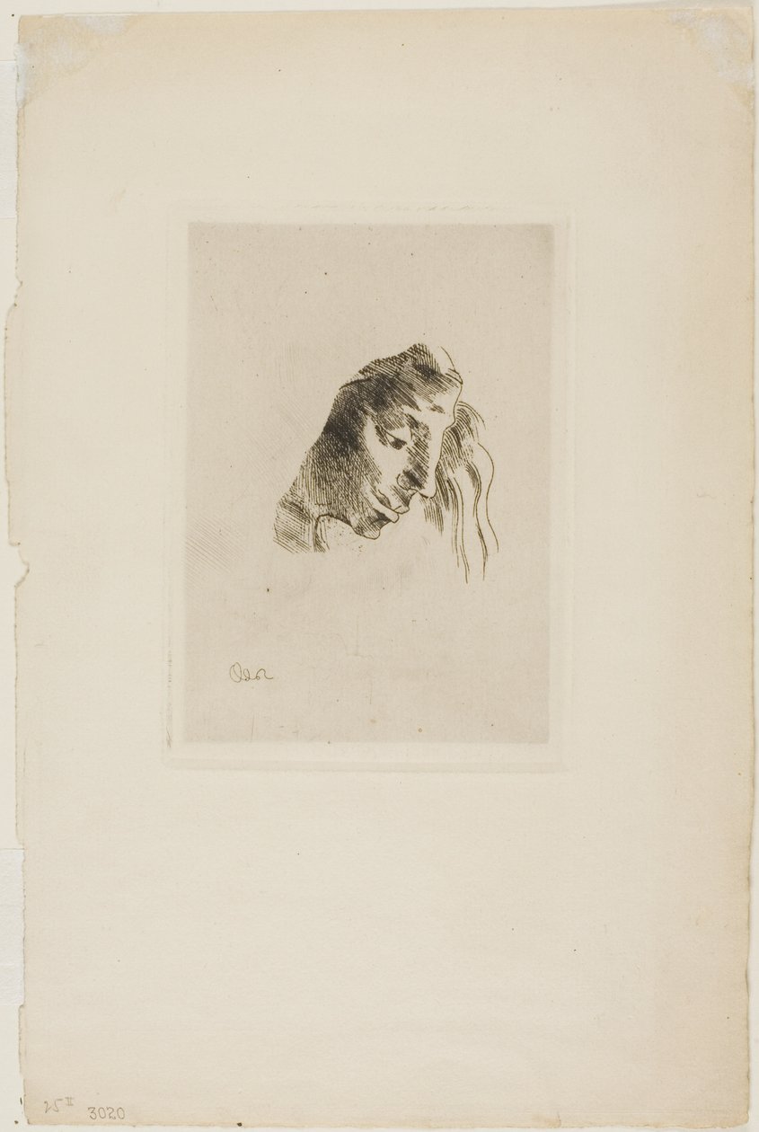 Kirjoista tekijältä Odilon Redon