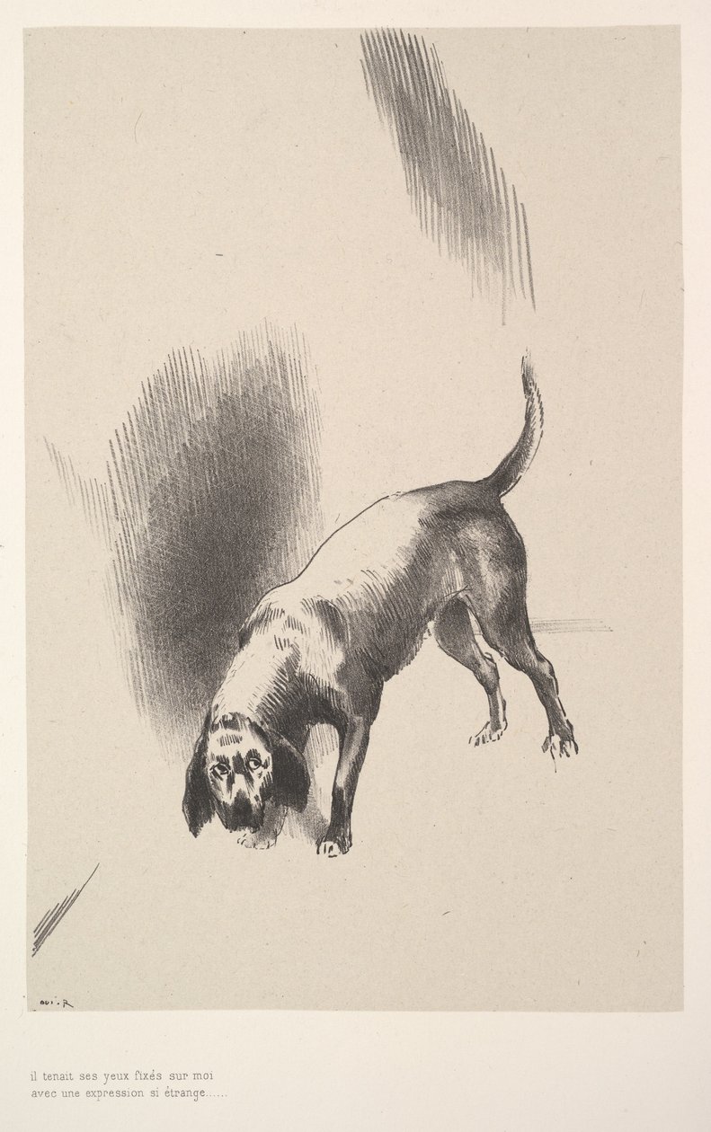 Hän kiinnitti katseensa minuun ilmeellä, joka oli niin outo, 1896. tekijältä Odilon Redon