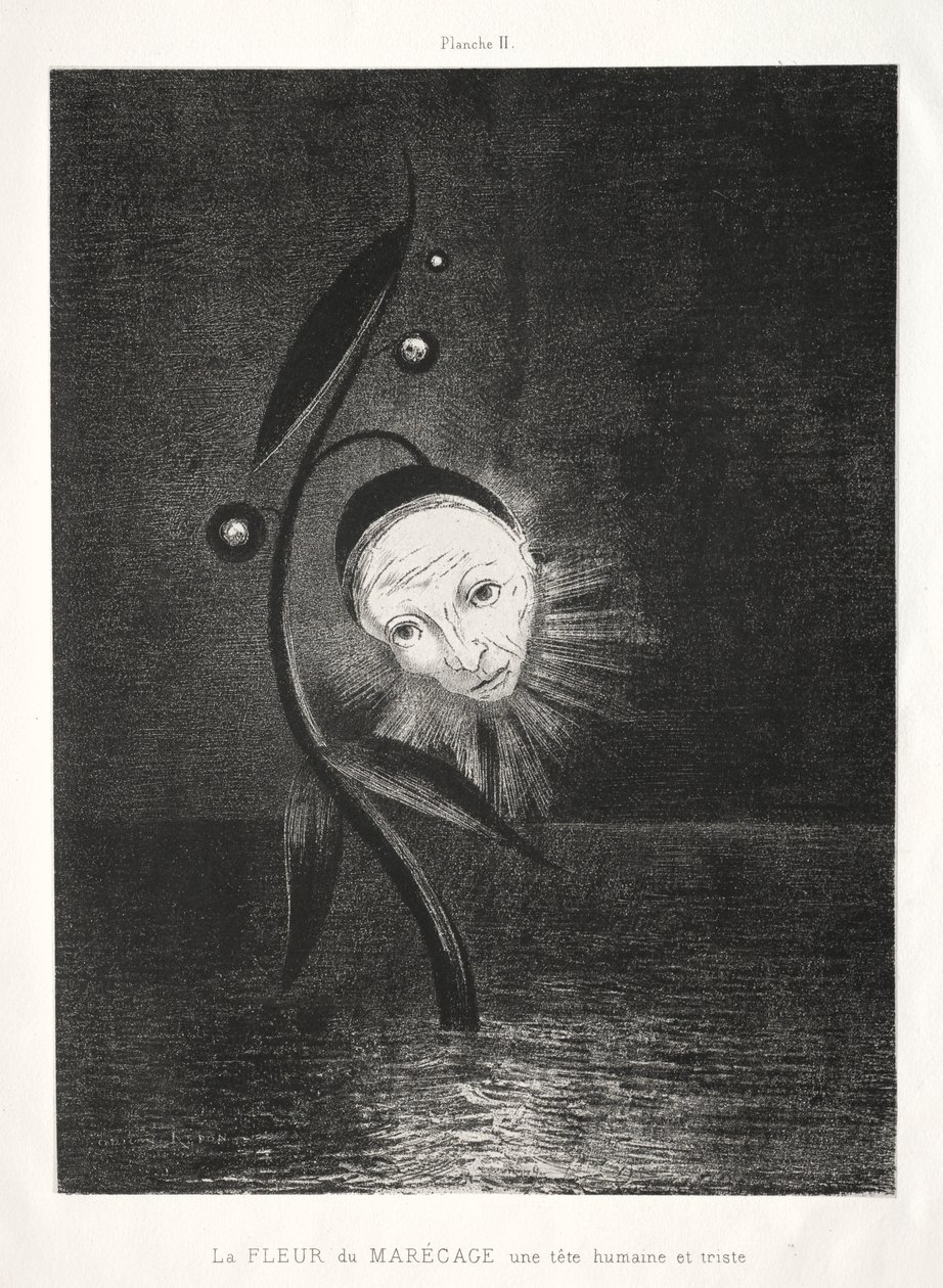 Kunnioitus Goyalle: Suon kukka, surullinen ihmispää, 1885. tekijältä Odilon Redon