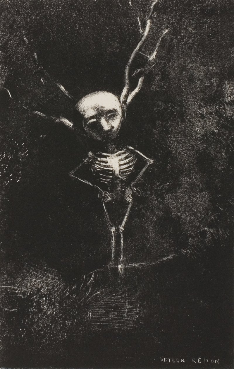 Oksojen sokkelossa kalpea hahmo ilmestyi, levy 2/7 tekijältä Odilon Redon