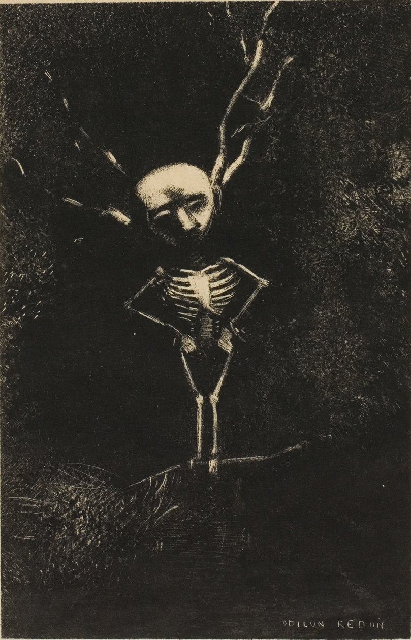Oksojen sokkelossa kalpea hahmo ilmestyi, levy 2/7 tekijältä Odilon Redon