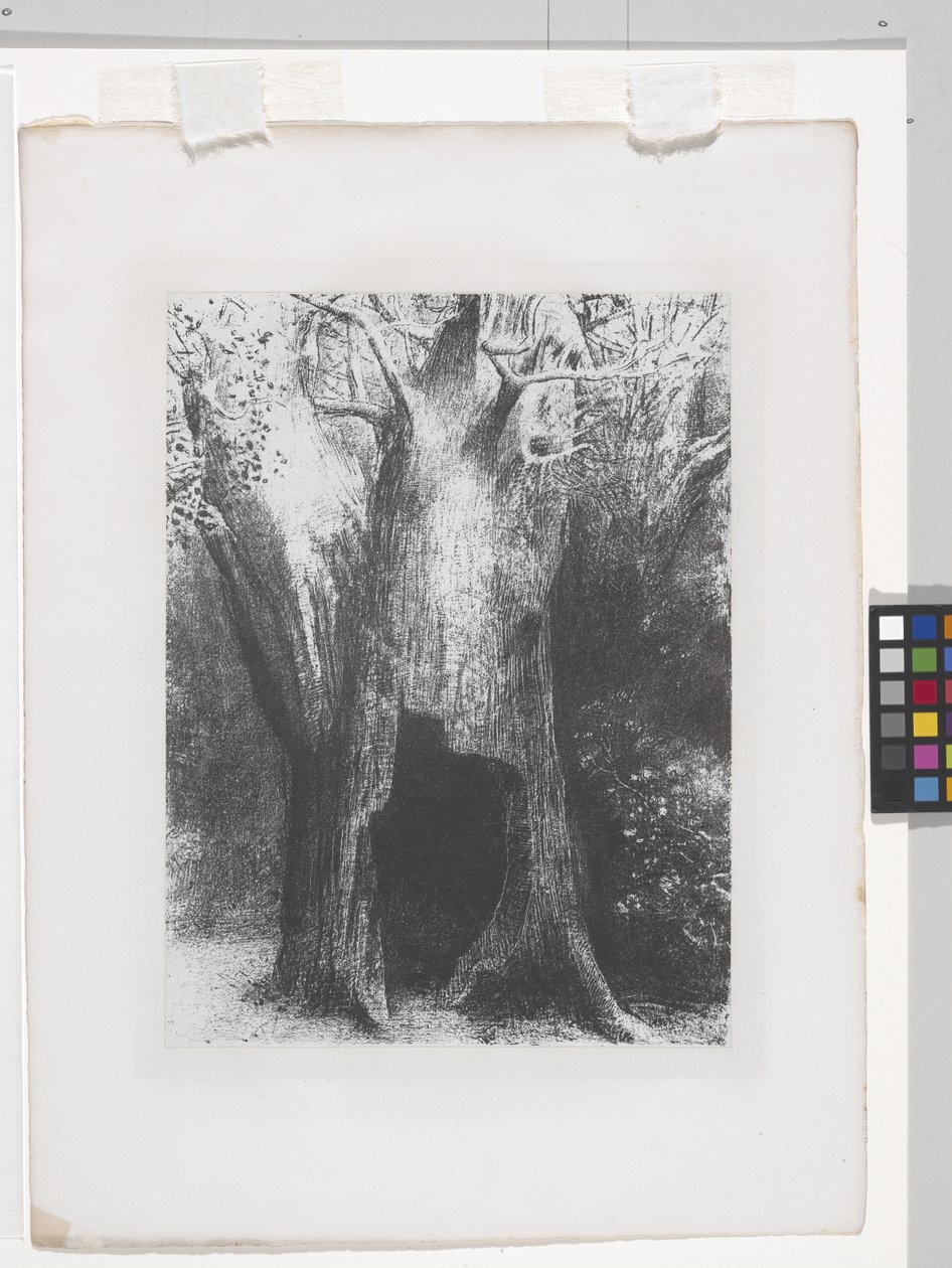 I Sunk Into Solitude (litografia kiinaapplikointipaperille) tekijältä Odilon Redon