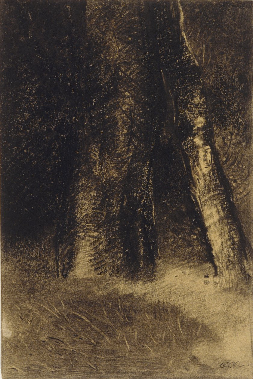 Luonnos puista tekijältä Odilon Redon