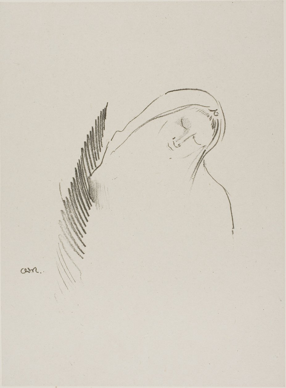 Nukkua tekijältä Odilon Redon