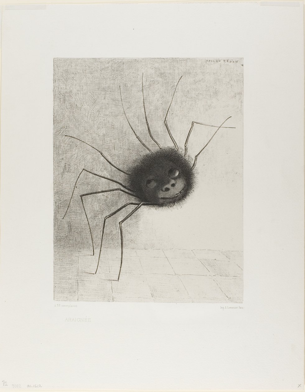 Hämähäkki tekijältä Odilon Redon