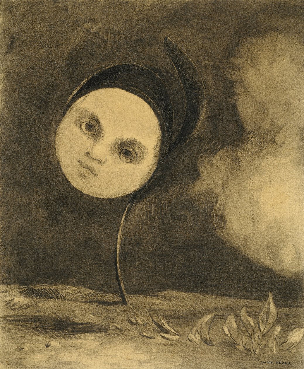 Outo Kukka tekijältä Odilon Redon