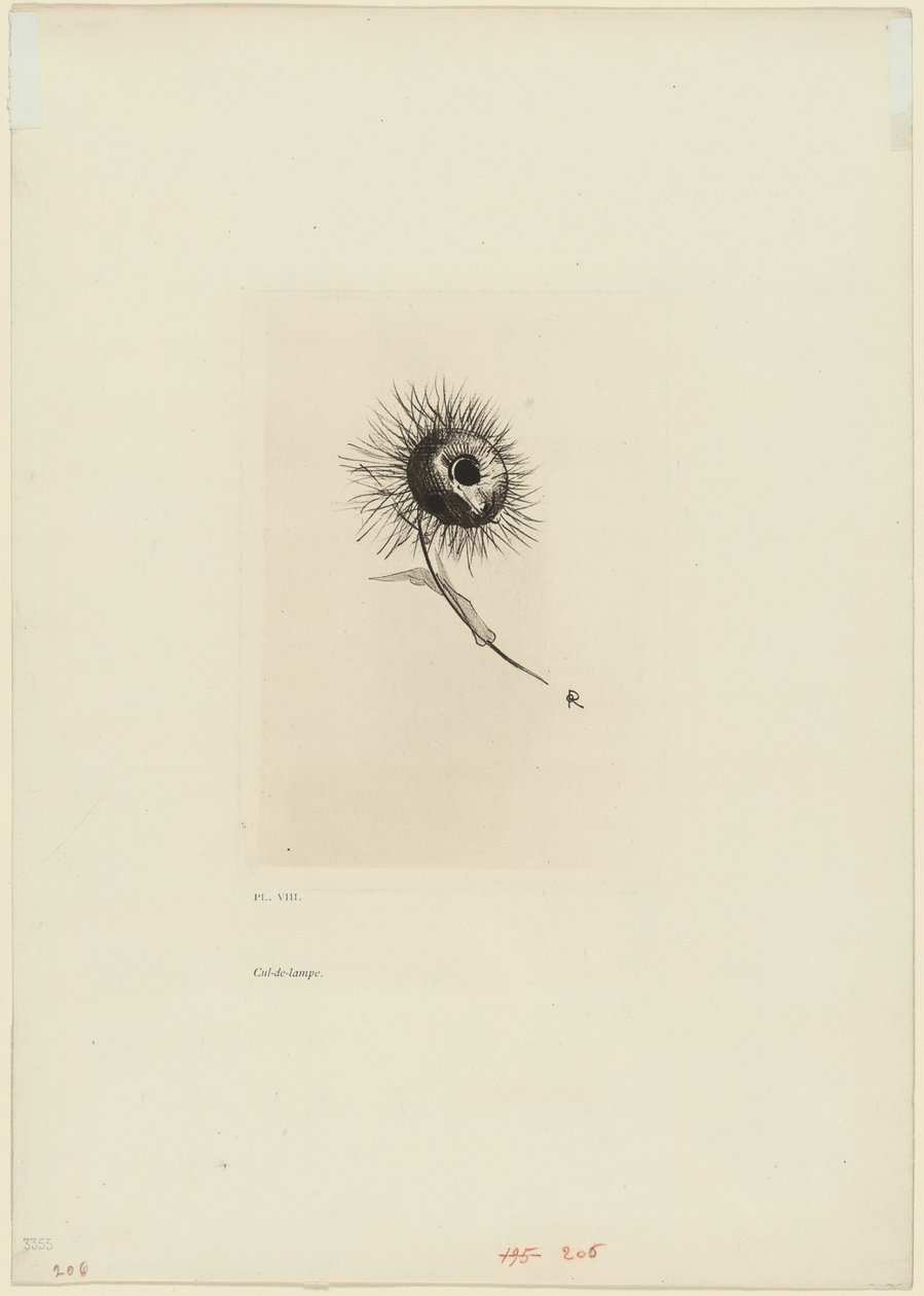 Takakappale, levy 9/9 tekijältä Odilon Redon
