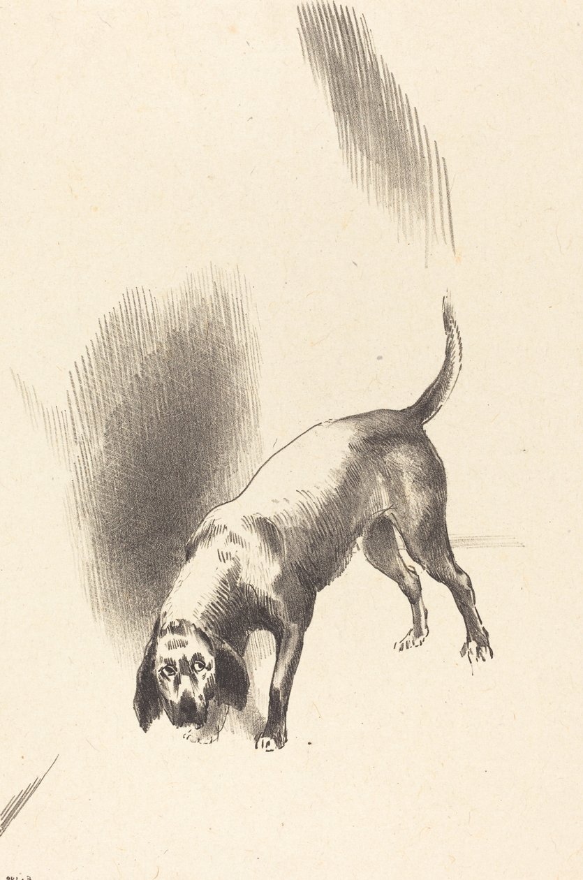 Koira tekijältä Odilon Redon