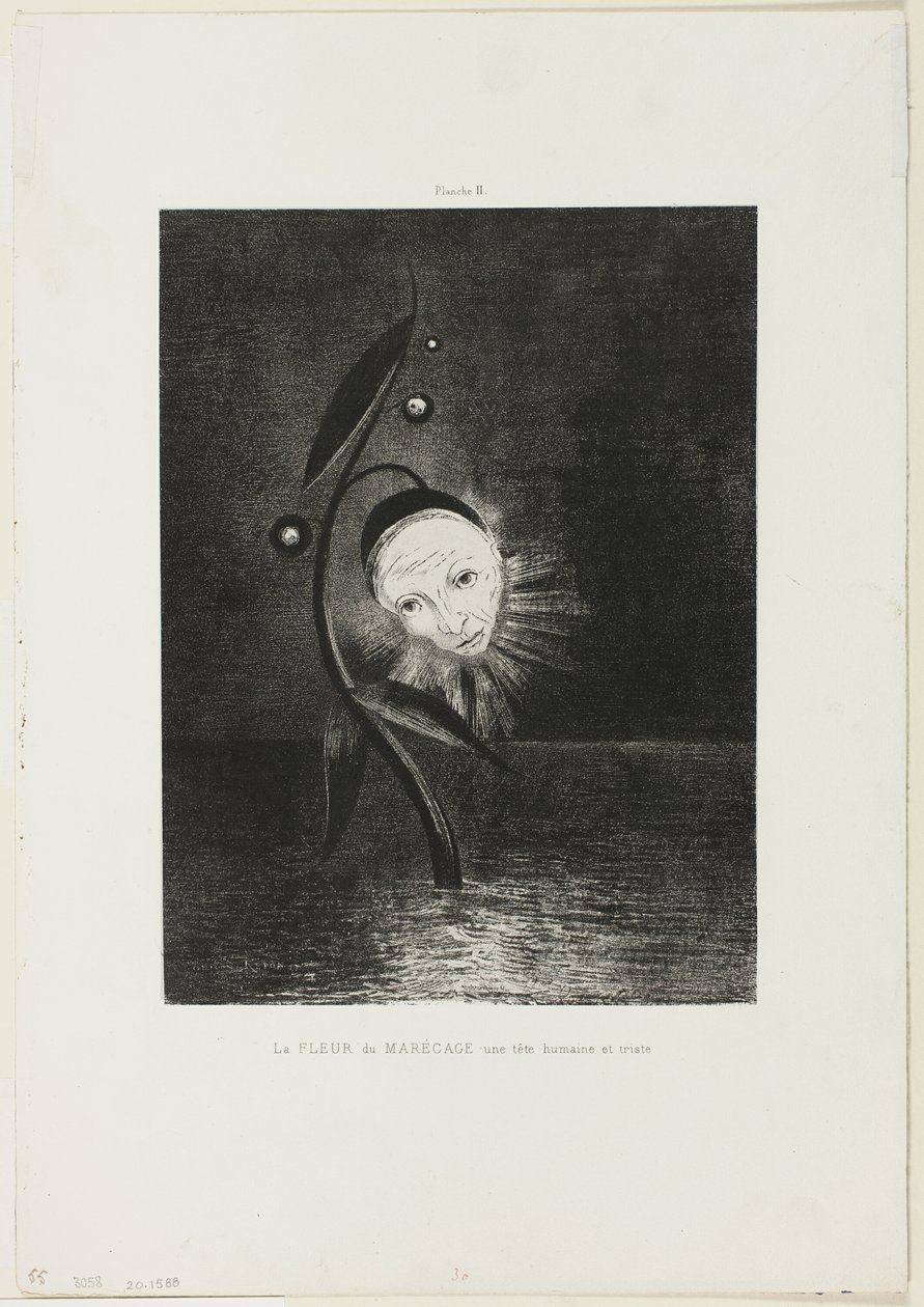 Suokukka, surullinen ihmispää, levy 2/6 tekijältä Odilon Redon