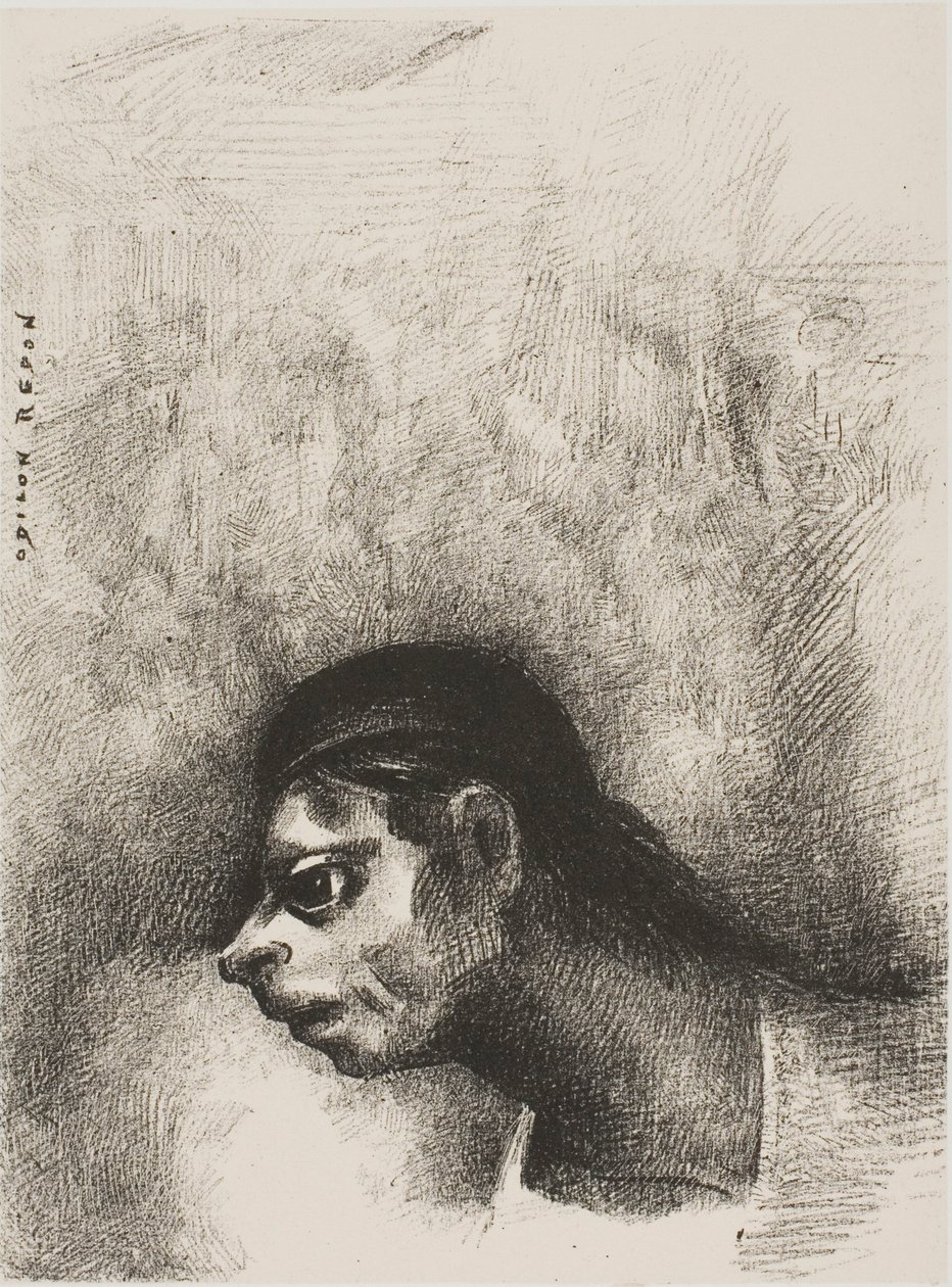 Seinän halkeaman läpi heijastettiin kuoleman pää, elokuvasta The Juror (Valamies) tekijältä Odilon Redon