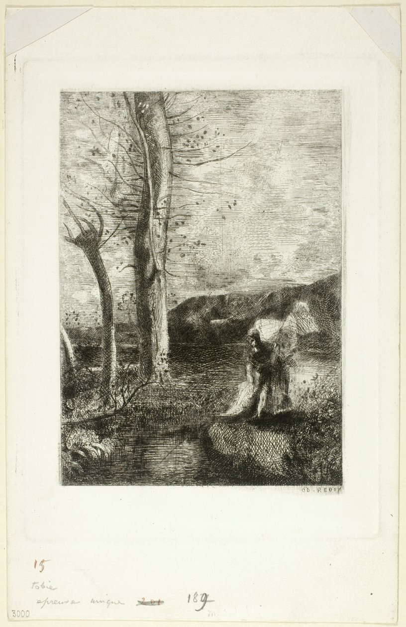 Tobiasfinnish tekijältä Odilon Redon