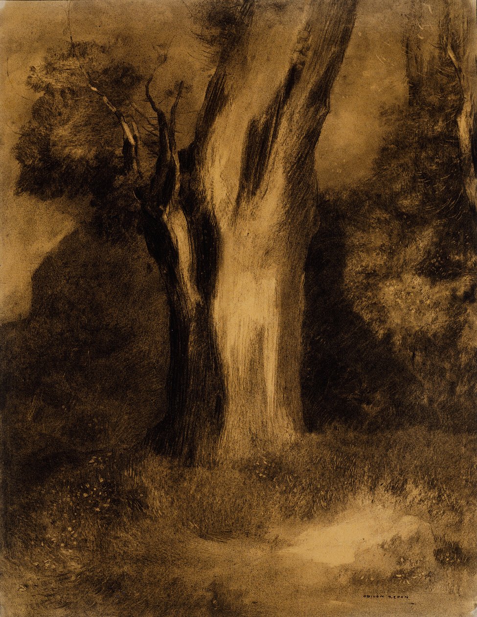 Puu tekijältä Odilon Redon
