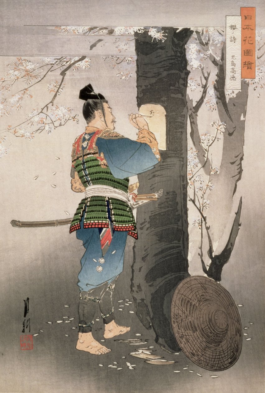 Kojima Takanori kirjoittamassa runoa kirsikkapuulle sarjasta "Kuvia Japanin kukista", 1895 (puupainatus) tekijältä Ogata Gekko