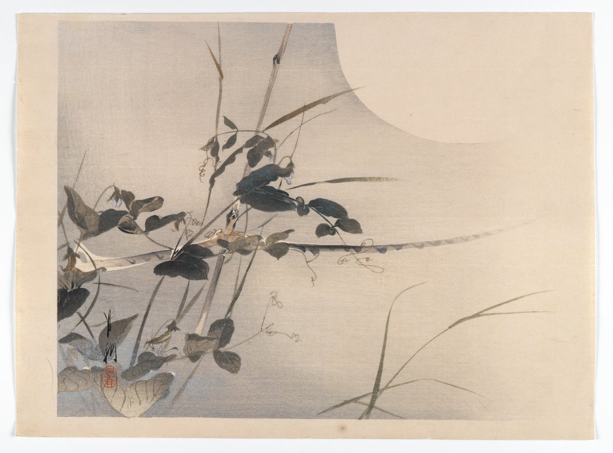 Kuu ja lehdet, albumisivu Bird and Flower (Kacho) -kirjasta, n. 1890-1900 (puupalikkaväripainatus hopeapigmentillä) tekijältä Ogata Gekko