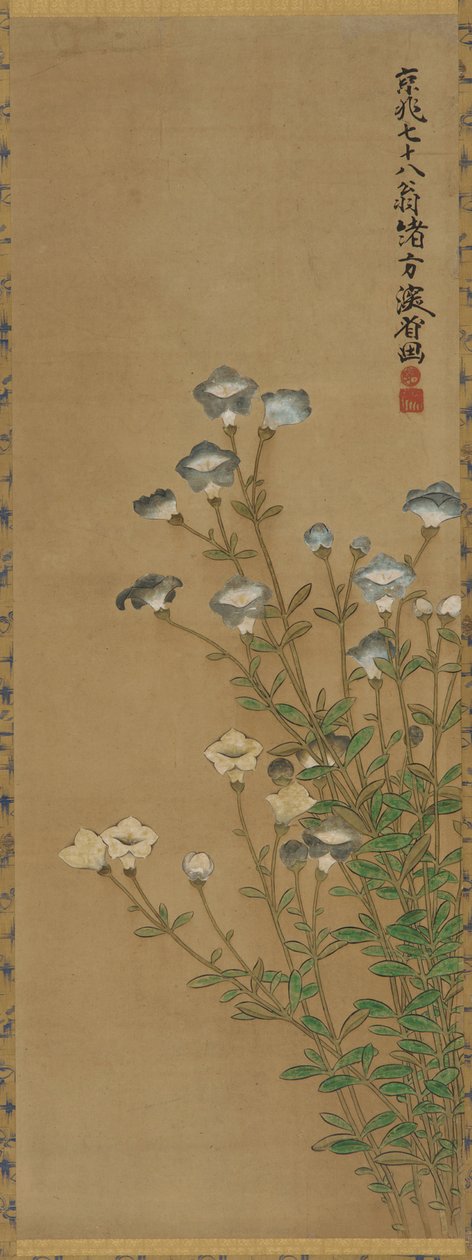 Siniset ja valkoiset kukat hoikkavarsissa, Edo-kausi, 1700-1800-luku tekijältä Ogata Kenzan