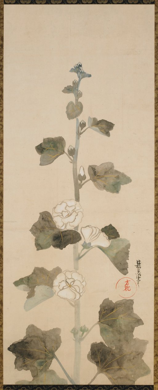 Valkoiset hollyhocks, Edo-kausi, 1600-luvun loppu - 1700-luvun alku. tekijältä Ogata Korin