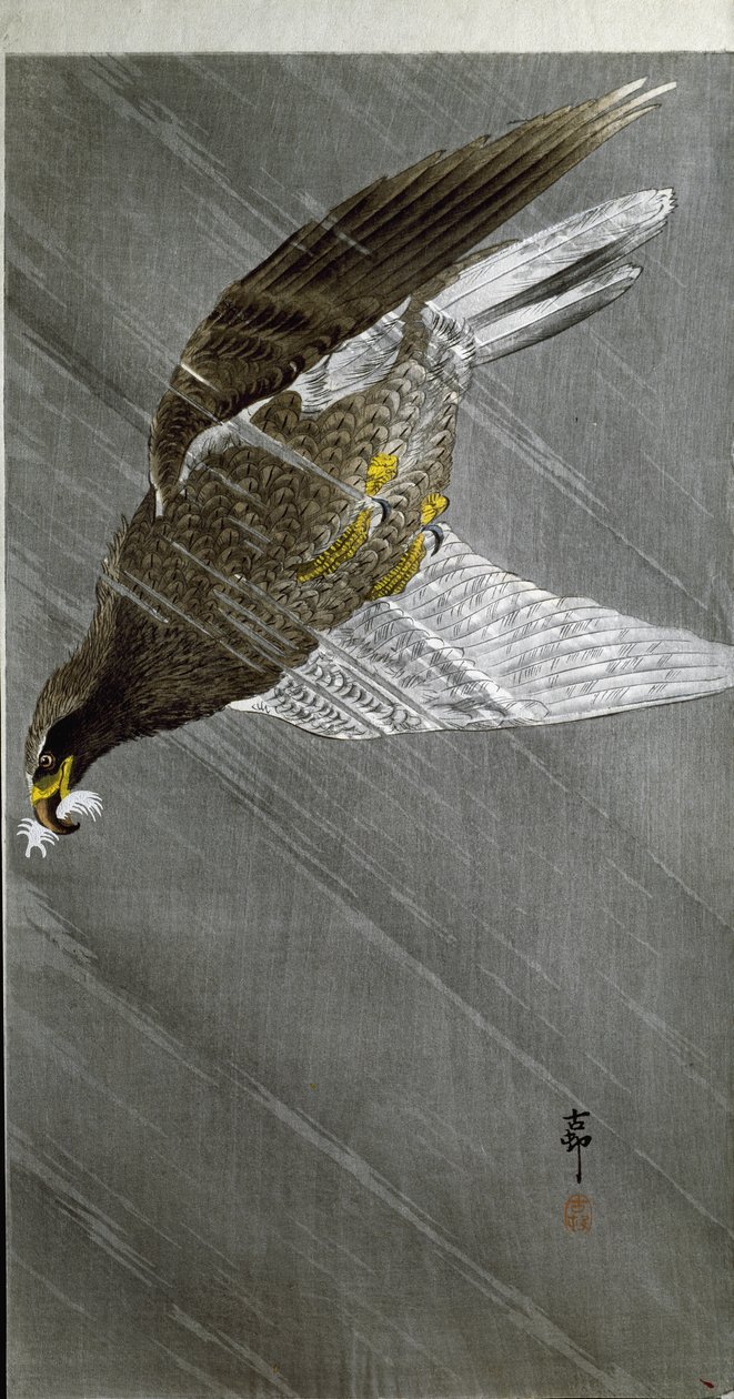 Kotka, joka sukeltaa saalistaan, 1910 tekijältä Ohara Koson