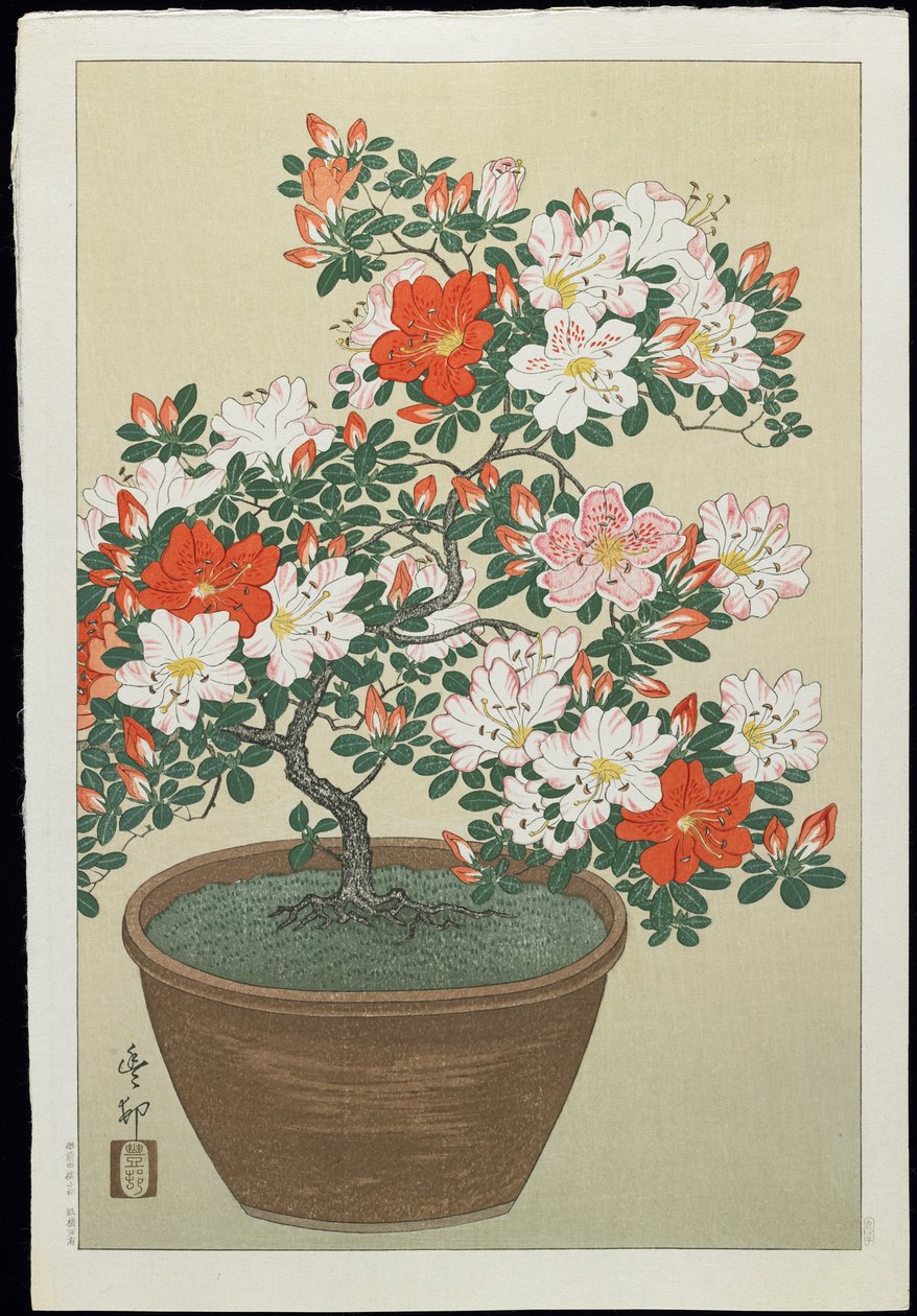Azalea ruukussa, 1930-luku tekijältä Ohara Koson