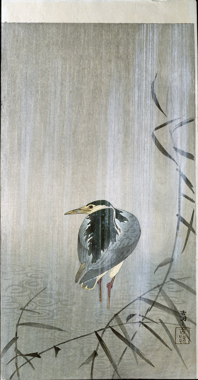 Lintu sateessa, 1907 tekijältä Ohara Koson