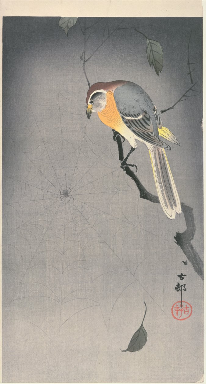 Lintu oksalla katselemassa hämähäkkiä, n. 1900 alkupuolella (värillinen puupiirros). tekijältä Ohara Koson
