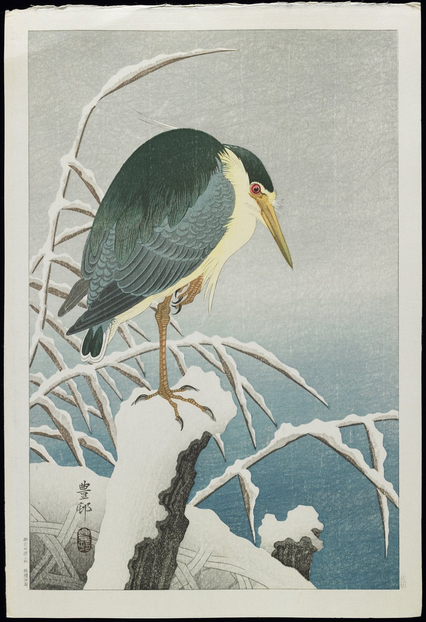 Mustakruunuinen yöhaikara lumessa, 1930-luku tekijältä Ohara Koson