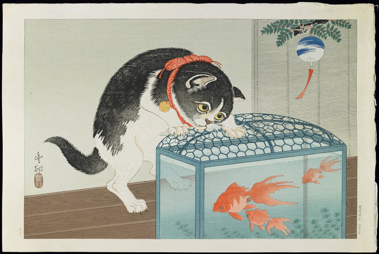Kissa ja kultakala, 1930-luku (värillinen puupiirros) tekijältä Ohara Koson