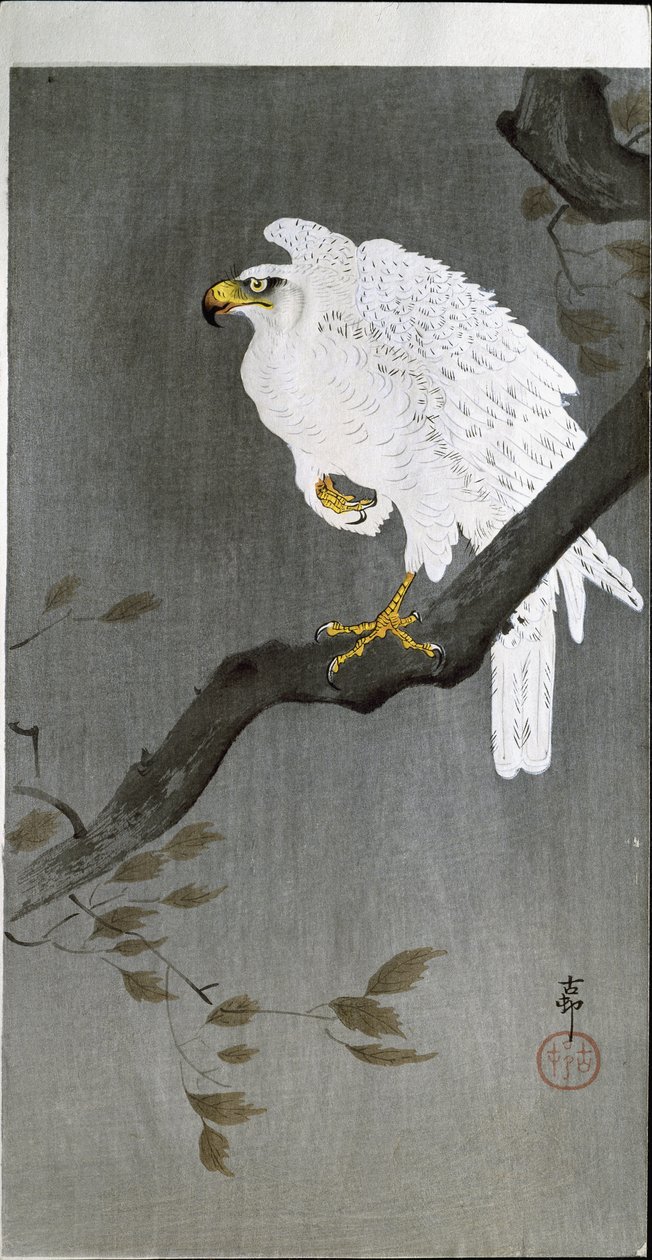 Haukka oksalla, 1907 tekijältä Ohara Koson