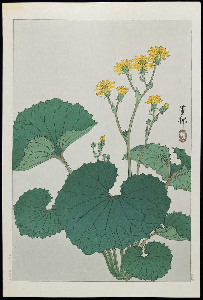 Japanin hopealehtien kukkia, 1930-luku tekijältä Ohara Koson