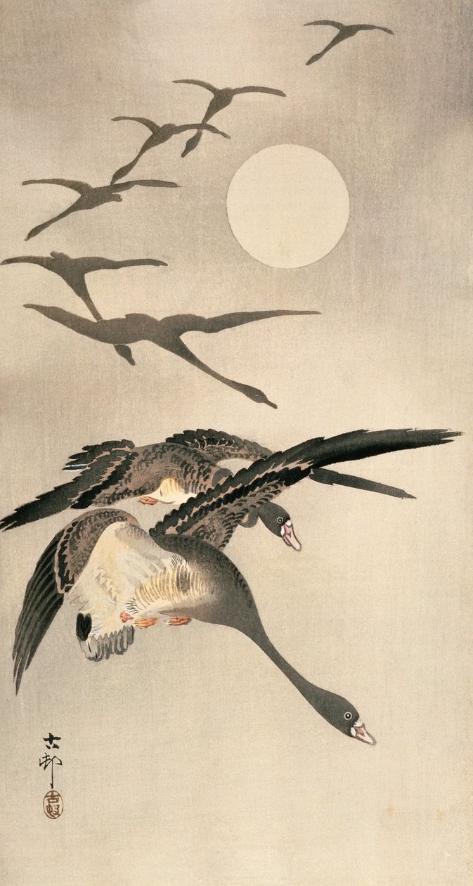 Lentävät hanhet ja täysikuu, n. 1900-luvun alku (värillinen puupainatus) tekijältä Ohara Koson