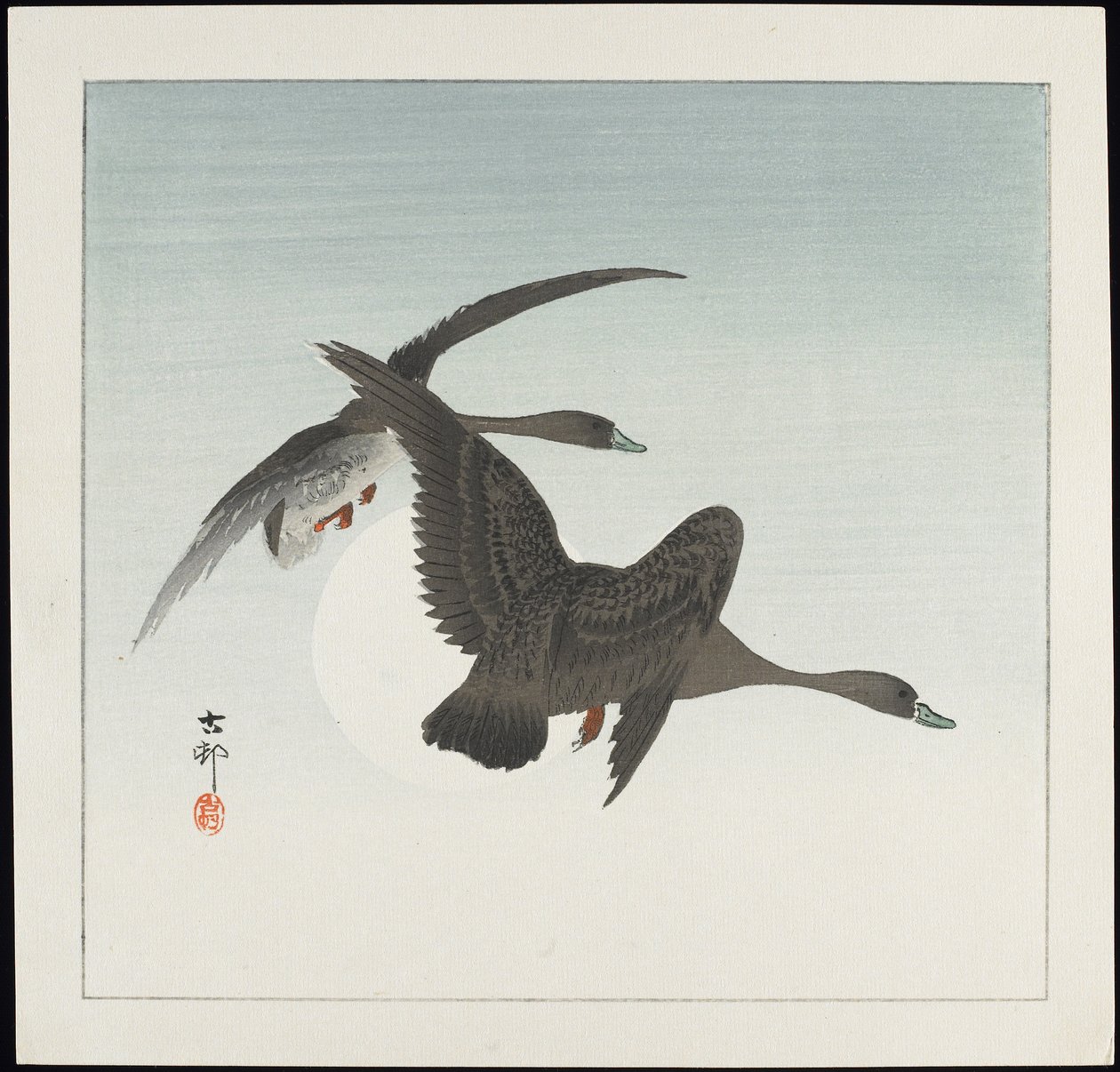 Hanhet lennossa, ennen 1912 tekijältä Ohara Koson