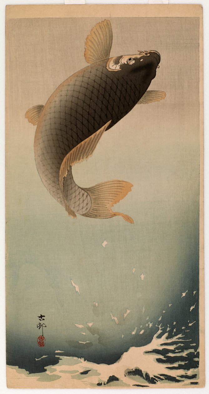 Hyppäävä karppi (värillinen puupainatus) tekijältä Ohara Koson