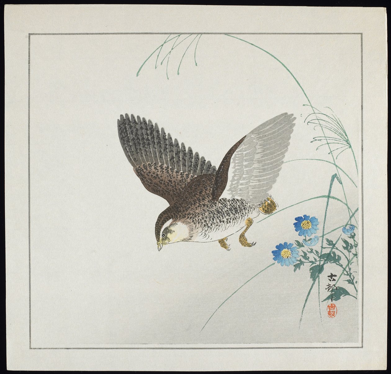 Viiriäinen lennossa, ennen vuotta 1912 tekijältä Ohara Koson