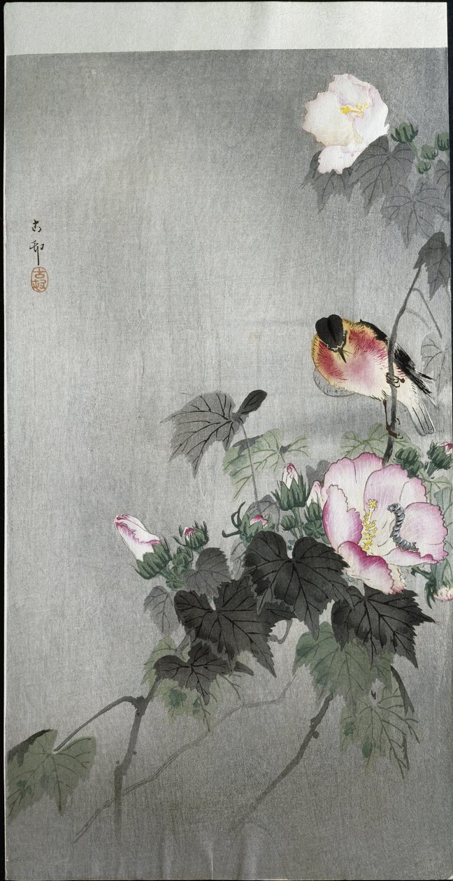 Kivipuikko ja kukkiva kukka, 1907 tekijältä Ohara Koson