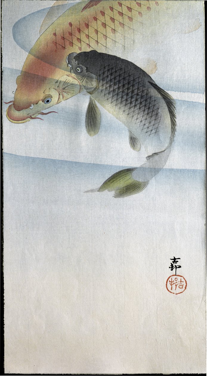 Kaksi karppia joessa, 1907 tekijältä Ohara Koson