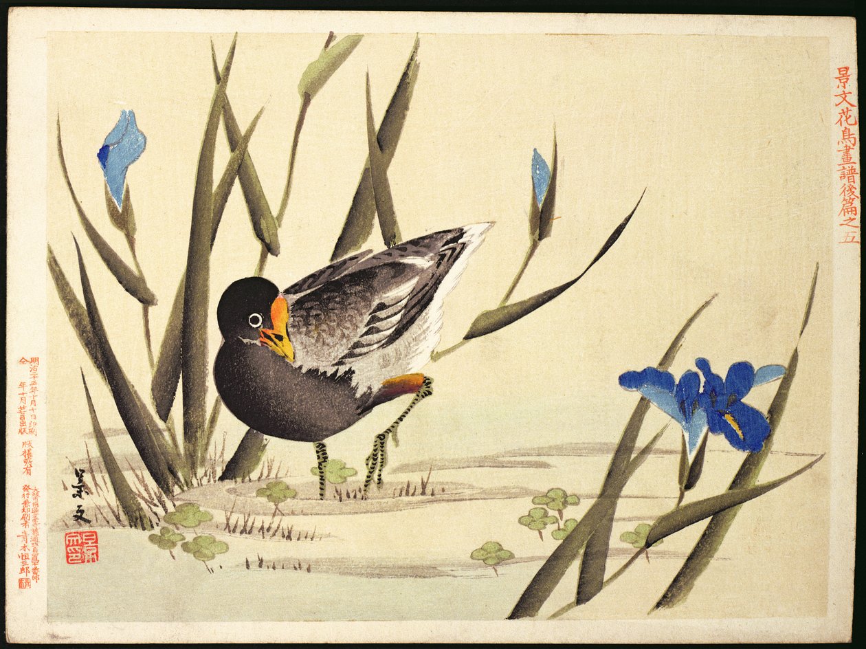 Kahlaa kurkien seassa, (värillinen puupainatus) tekijältä Ohara Koson