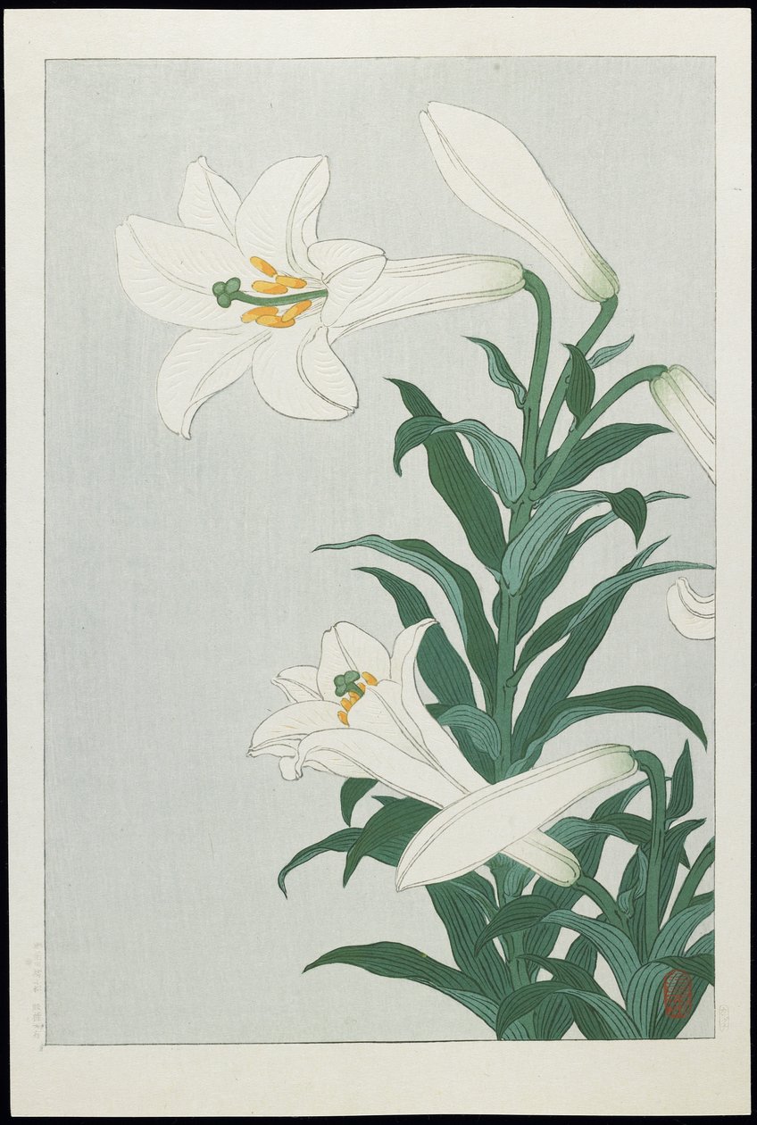 Valkoinen lilja, 1930-luku (värillinen puupainatus) tekijältä Ohara Koson