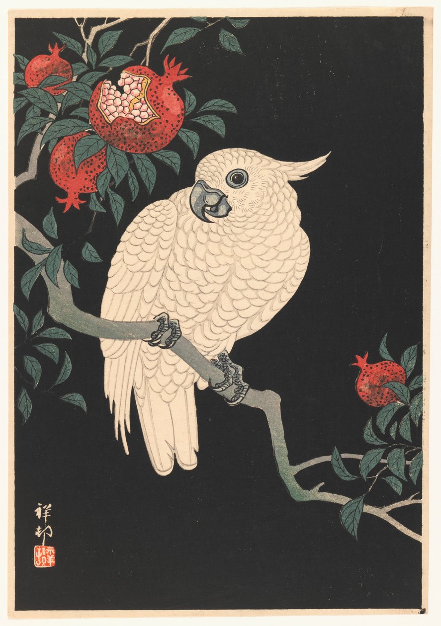 Valkoinen papukaija ja granaattiomena, 1927-1989 (puupainatus) tekijältä Ohara Koson