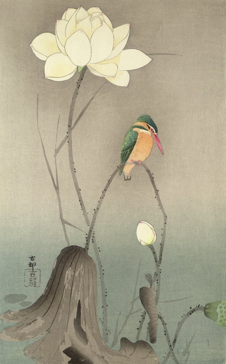 Kingfisher ja lootus, n. 1910, tekijältä Ohara Koson