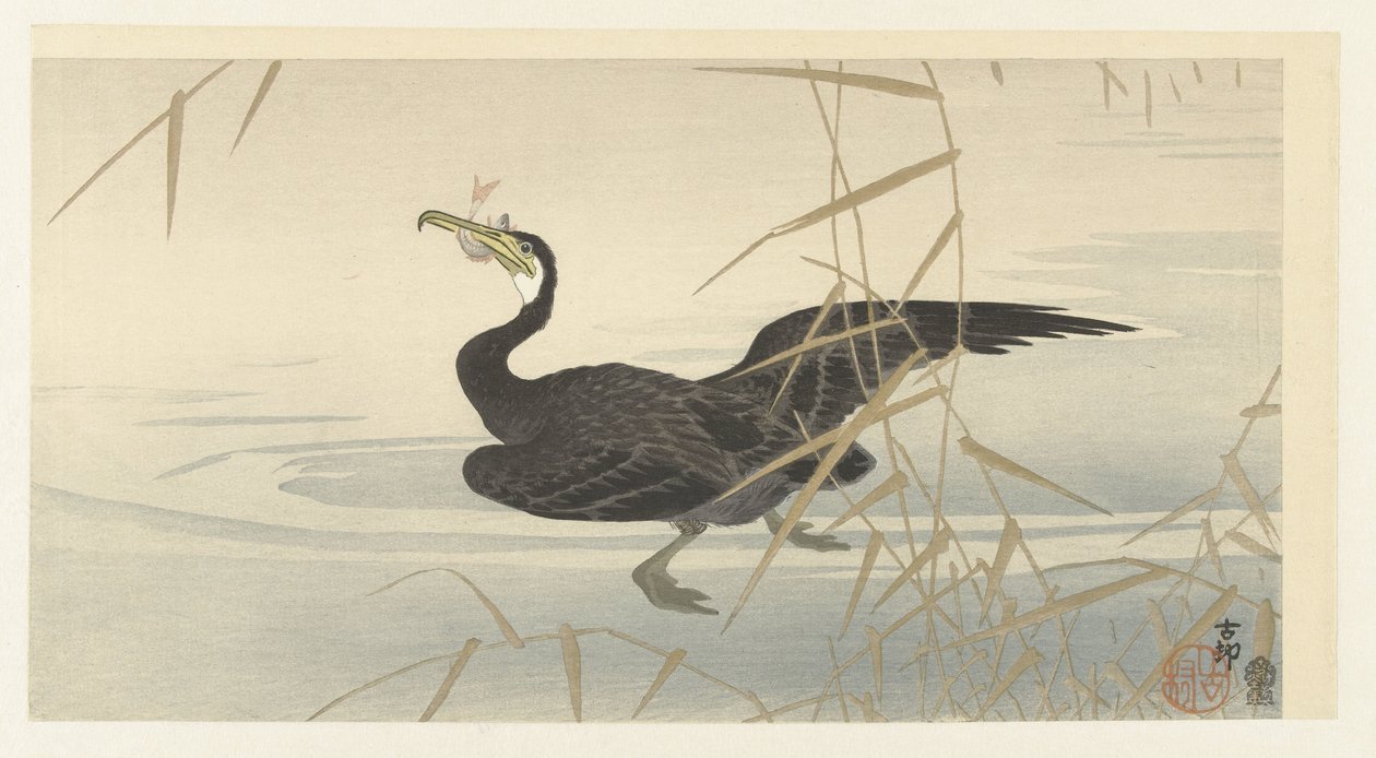Merimetso kalan kanssa tekijältä Ohara Koson