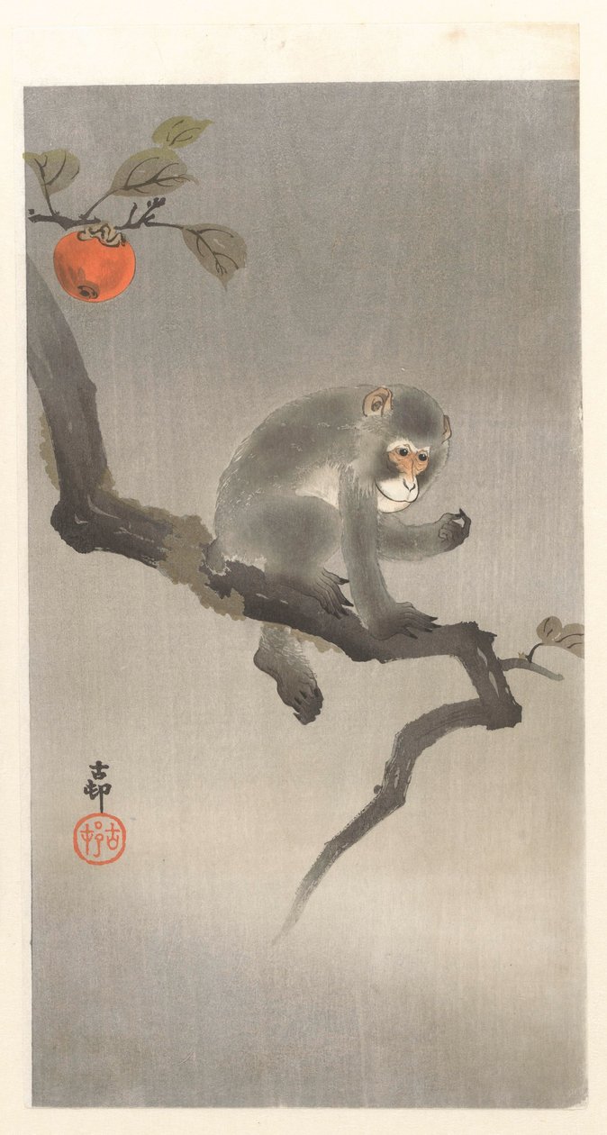 sinä kakiboomissa tekijältä Ohara Koson