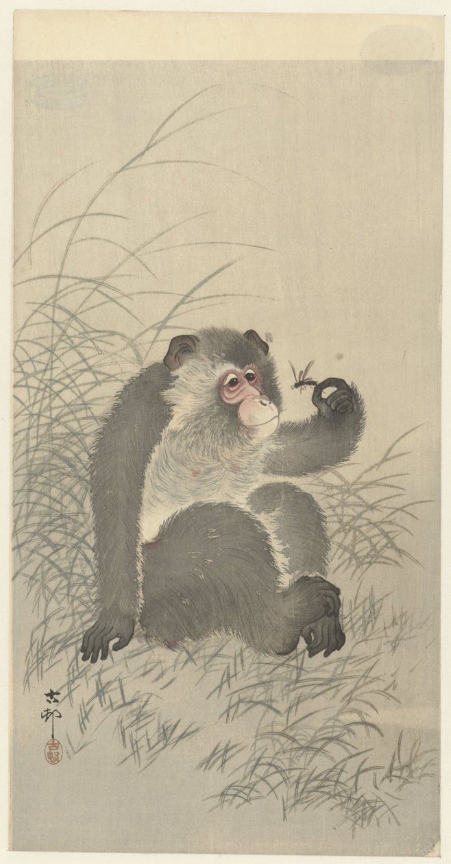 tapasit hyönteisen tekijältä Ohara Koson